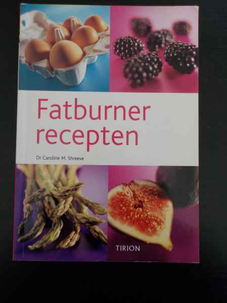 Fatburner Recepten